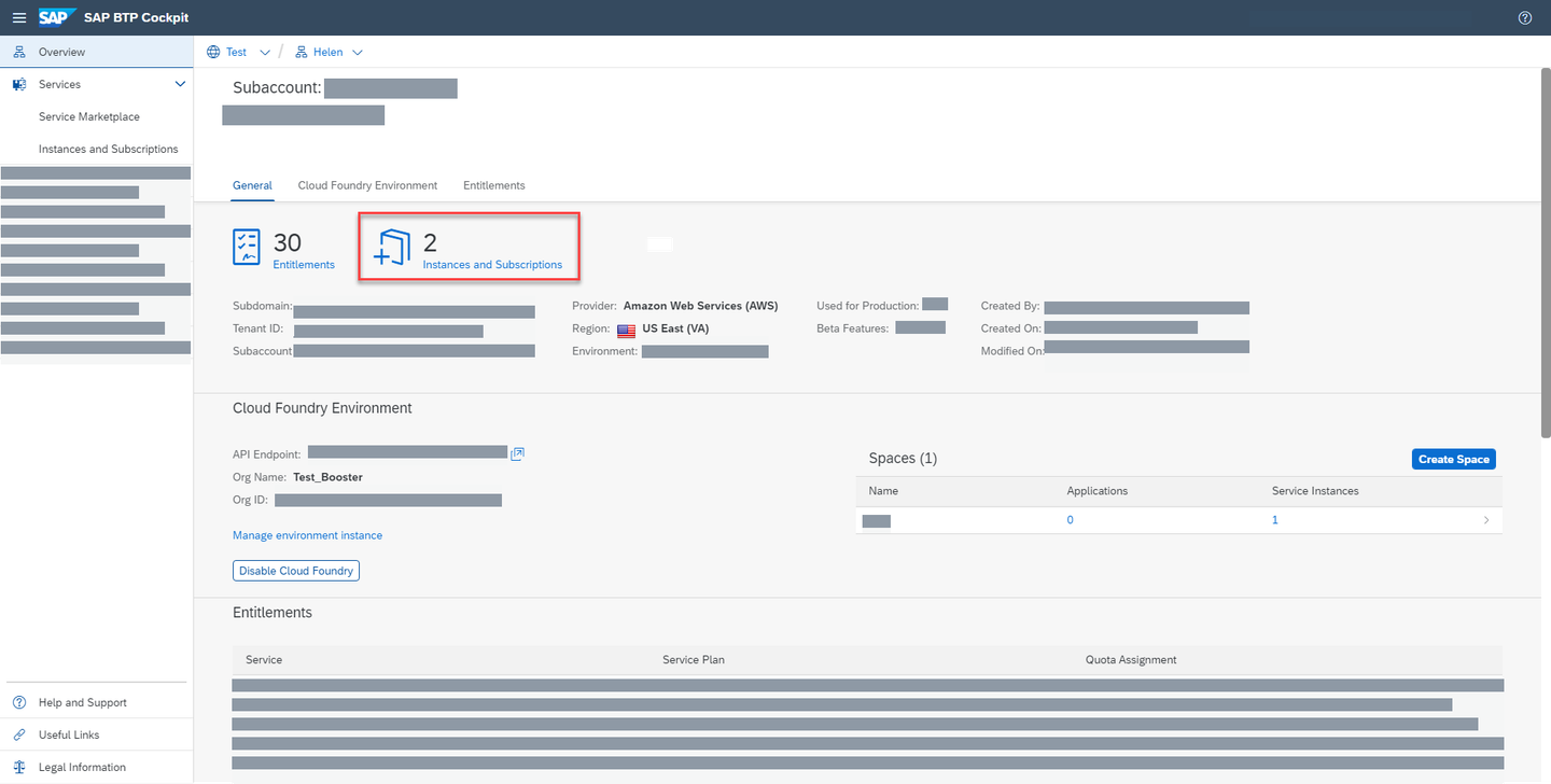 View instances and subscriptions