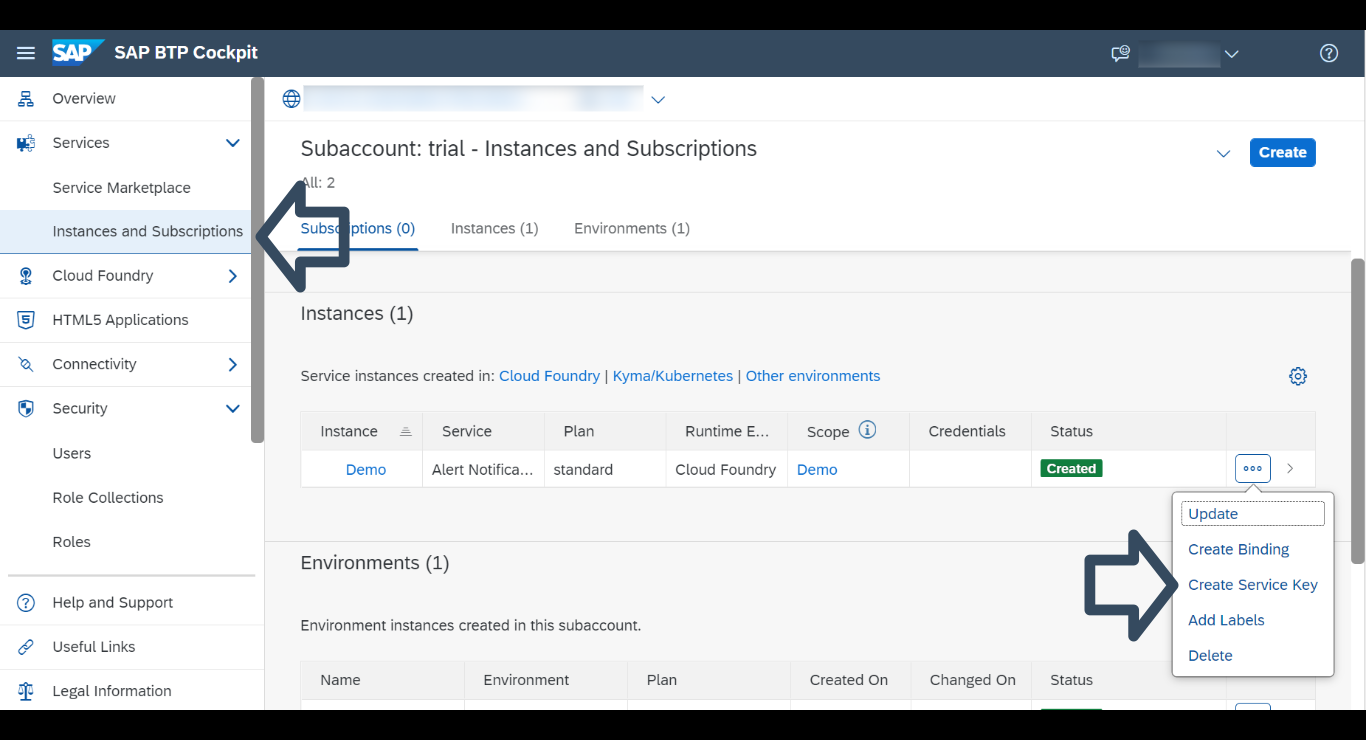 Instances-and-subscriptions