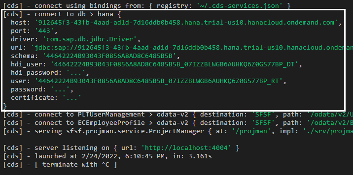 Figure 7 โ Project connected to SAP HANA Cloud database