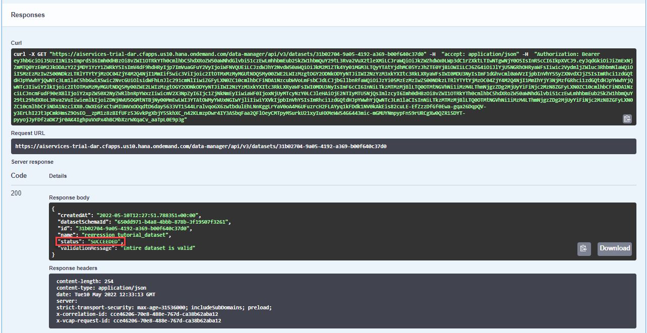 Dataset Status Response