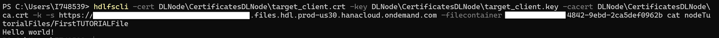 Rest API file contents.