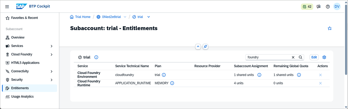 Entitlement for CF runtime