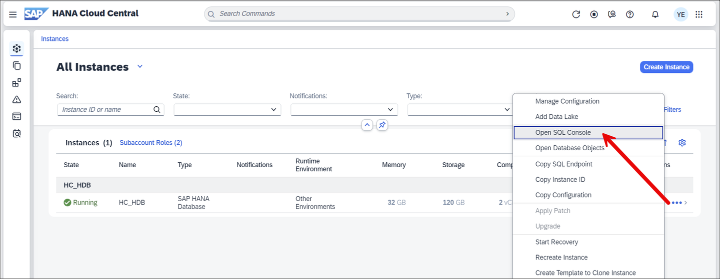Open SQL console