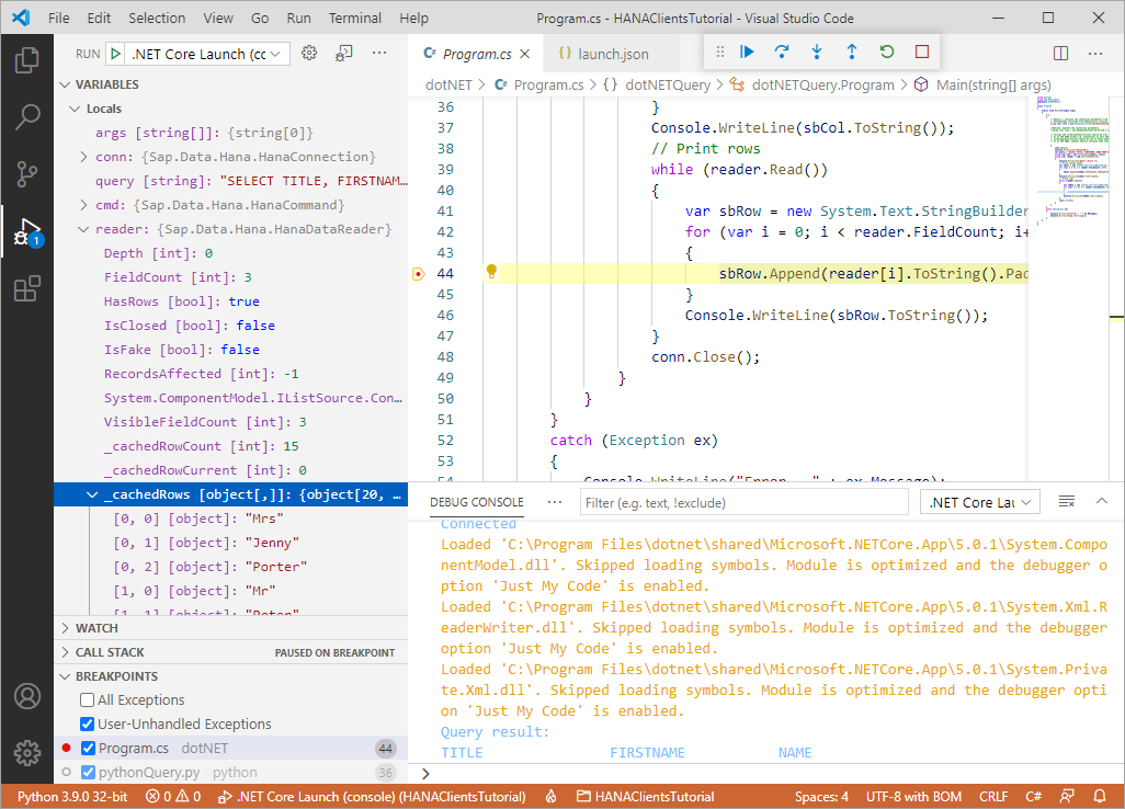 VS Code Debugging