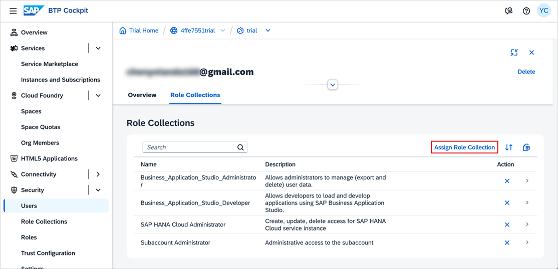 Assign Admin Role