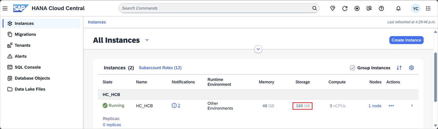 SAP HANA Cloud Storage