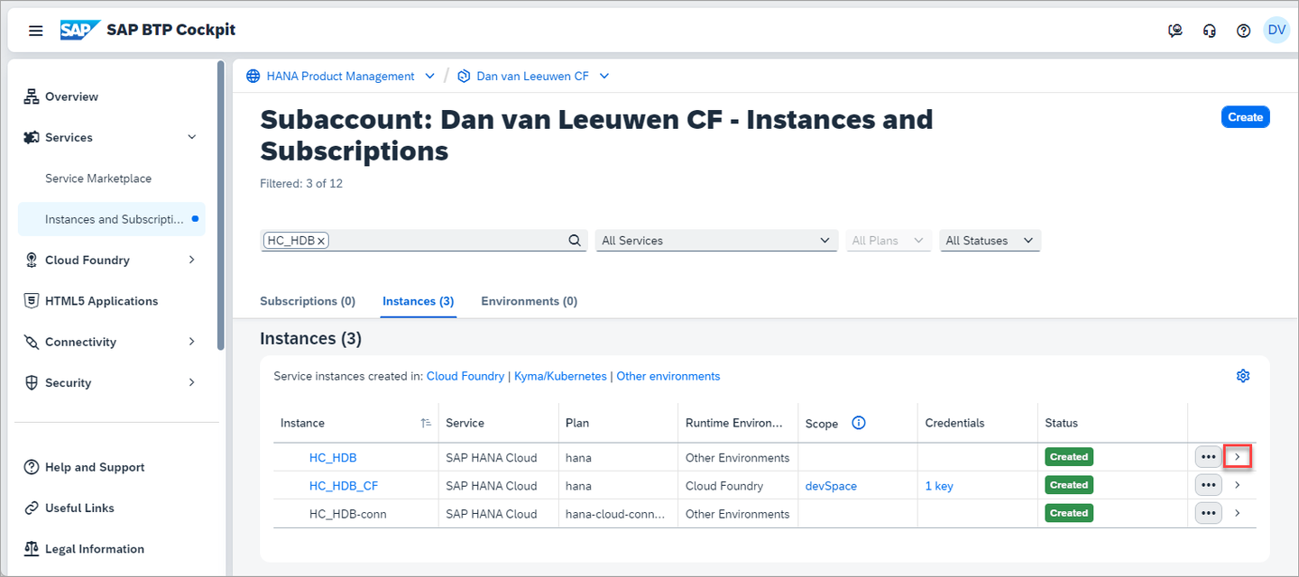 HANA Cloud instance