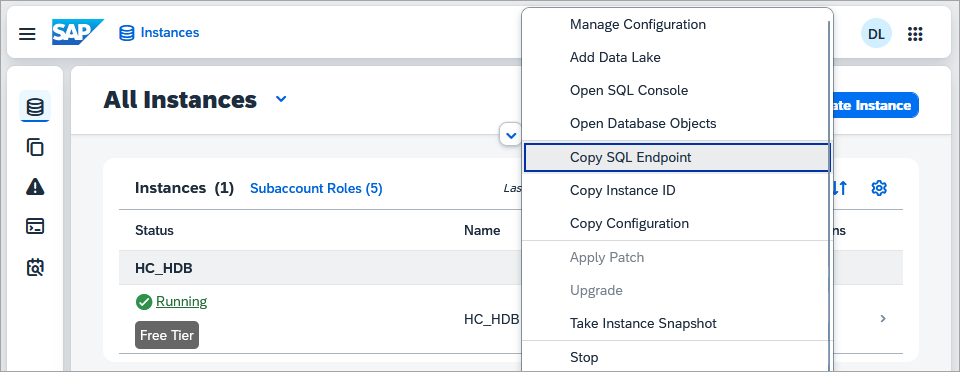 copy sql endpoint