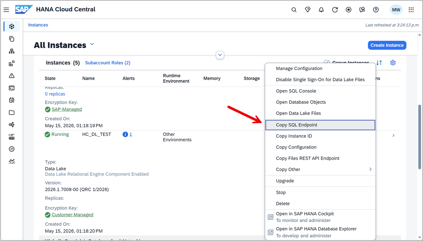 Copy SQL Endpoint