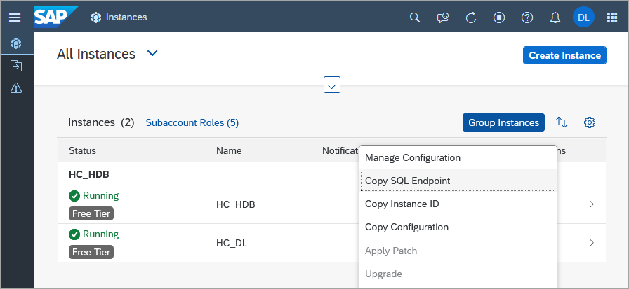 copy host and port