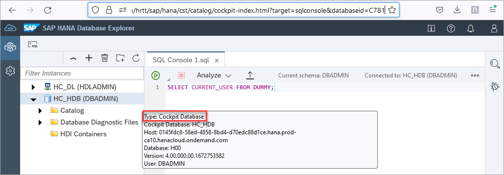 databaseid parameter