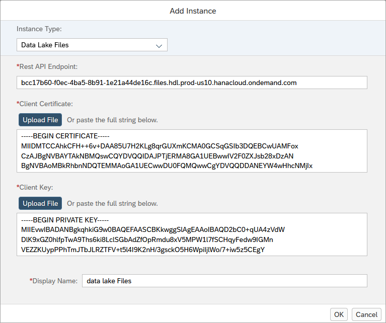 Add data lake Files