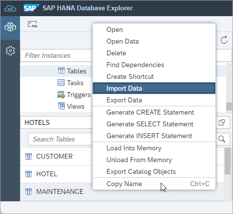 Open Import Data Wizard