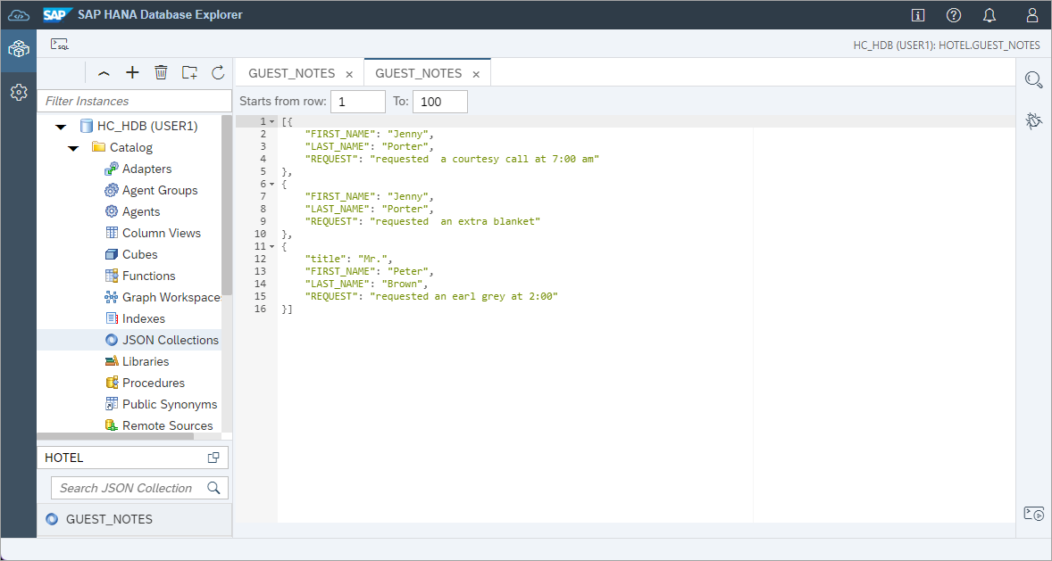 JSON text