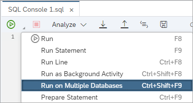 Run Against Multiple Databases
