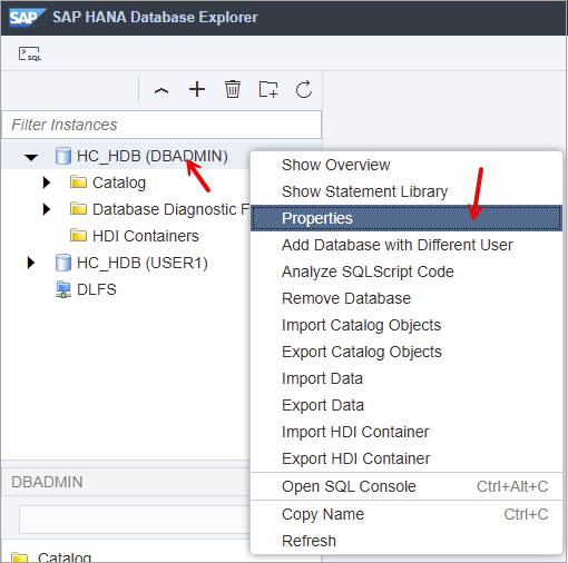 HANA Database Properties Button