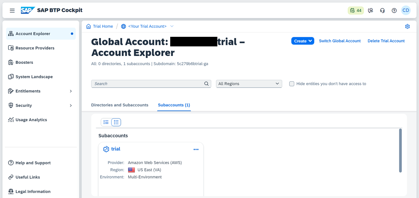 SAP BTP account overview