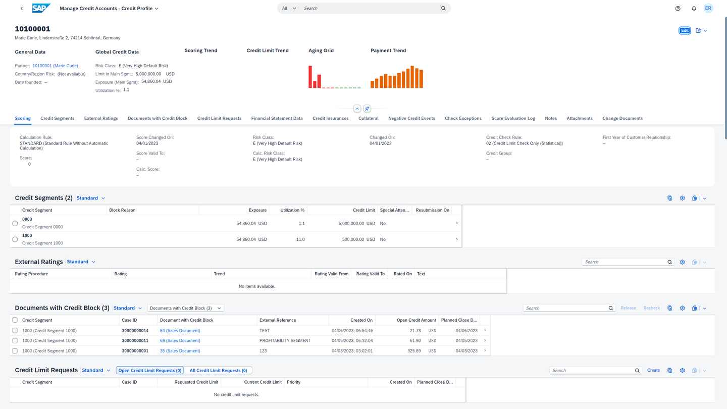 Original Manage Credit Accounts: Object Page