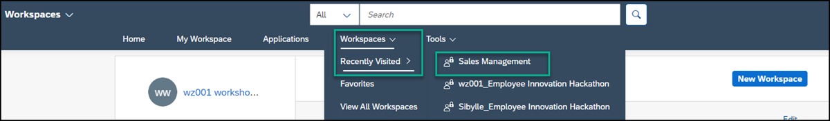 Access workspace