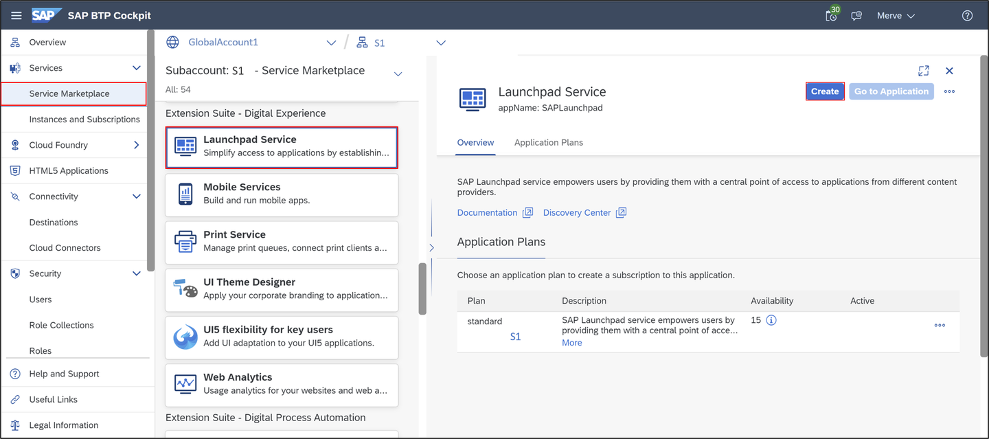 Run launchpad service