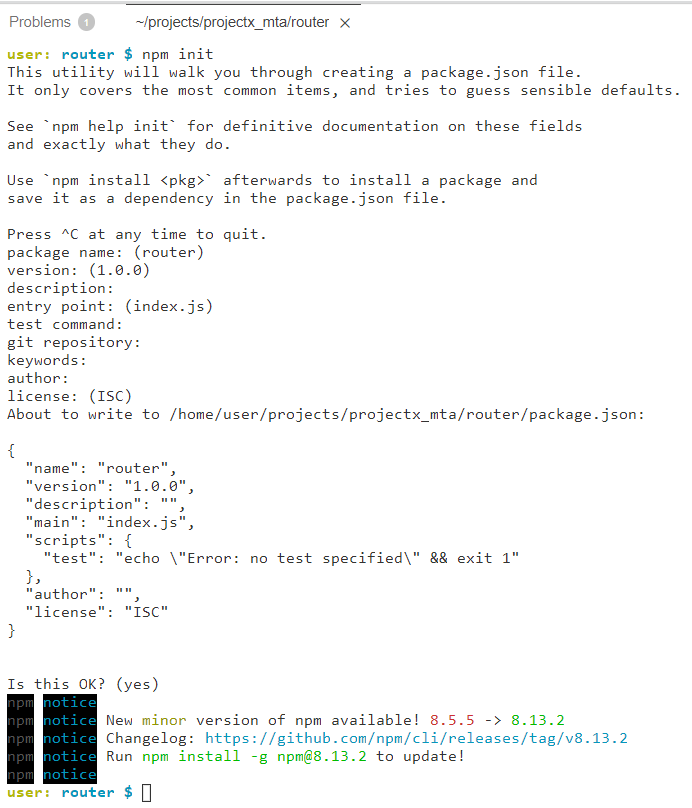 NPM INIT
