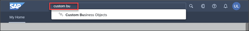Custom Business Objects application from search results