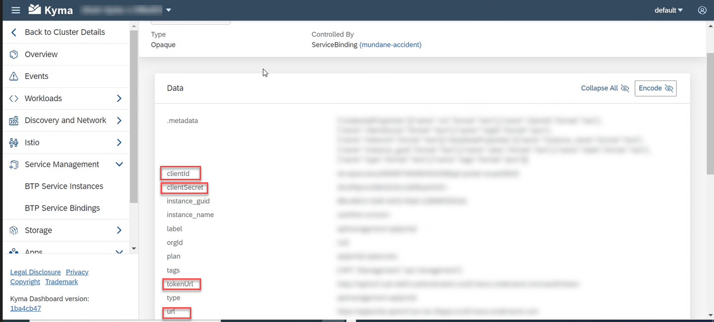 Copy the Client ID and Client Secret